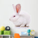 Rabbit Wall Decal