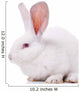 Rabbit Wall Decal