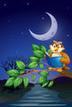 Owl Reading above Branch Wall Mural