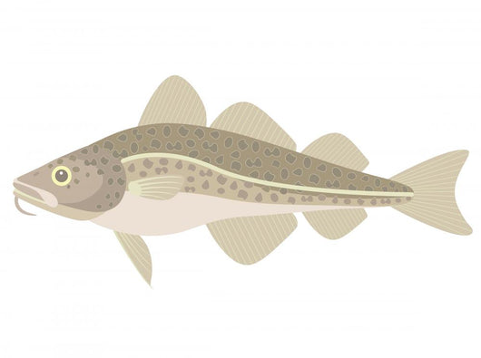 Cod Wall Decal