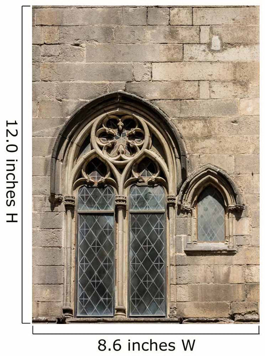 Window Wall Mural