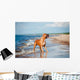 Beautiful Red Dog Beach Wall Mural