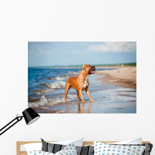 Beautiful Red Dog Beach Wall Mural