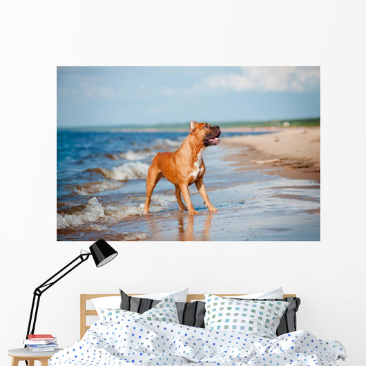 Beautiful Red Dog Beach Wall Mural