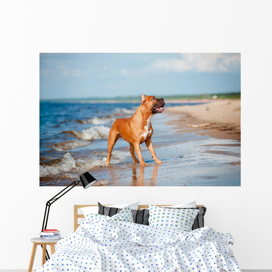 Beautiful Red Dog Beach Wall Mural