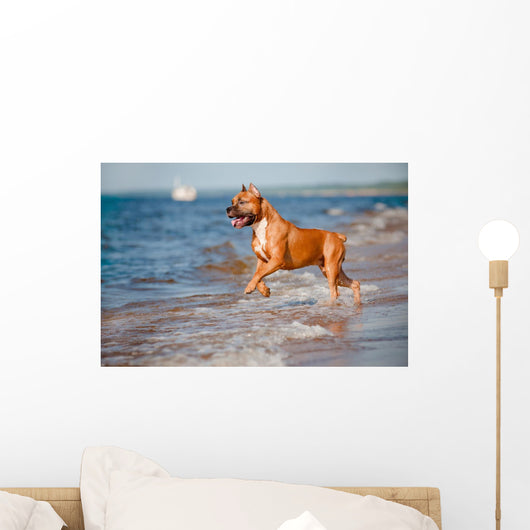 Red Staffordshire Terrier Dog Wall Mural