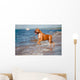 Red Staffordshire Terrier Dog Wall Mural