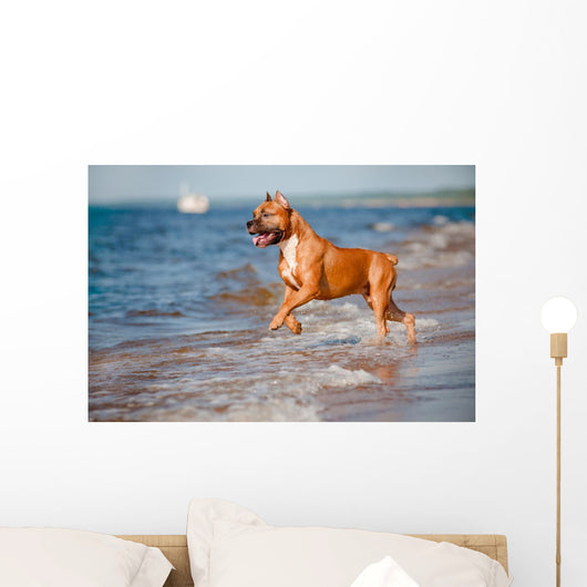 Red Staffordshire Terrier Dog Wall Mural