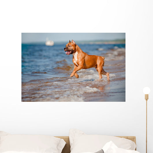Red Staffordshire Terrier Dog Wall Mural