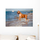 Red Staffordshire Terrier Dog Wall Mural