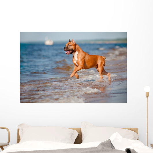 Red Staffordshire Terrier Dog Wall Mural