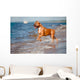 Red Staffordshire Terrier Dog Wall Mural