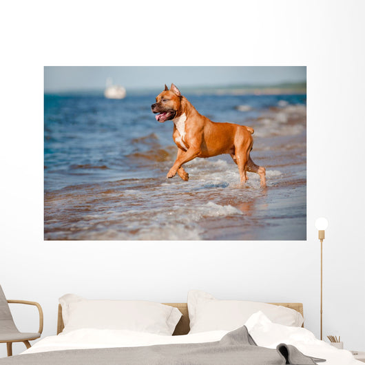 Red Staffordshire Terrier Dog Wall Mural