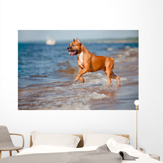 Red Staffordshire Terrier Dog Wall Mural