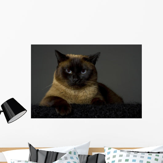 Siamese Wall Mural