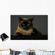 Siamese Wall Mural