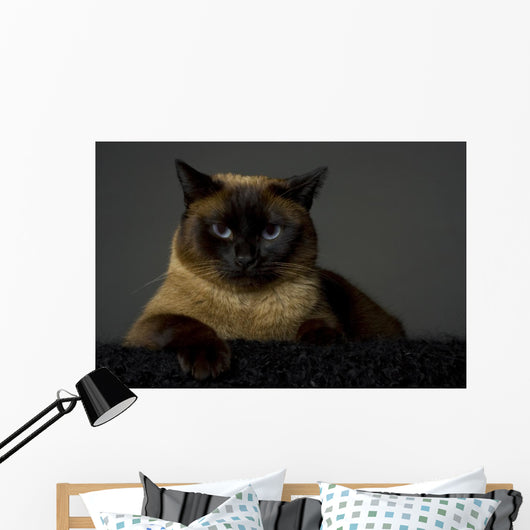 Siamese Wall Mural
