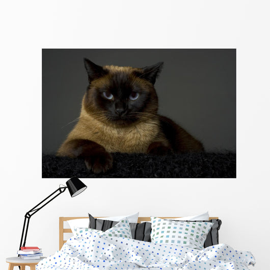 Siamese Wall Mural