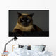 Siamese Wall Mural