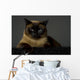 Siamese Wall Mural