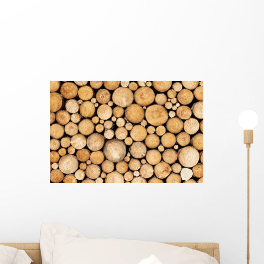 Pine Timber