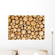 Pine Timber