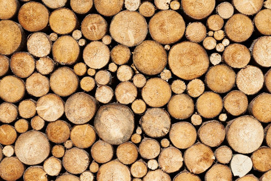 Pine Timber