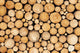 Pine Timber