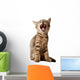 small kitten yawning Wall Decal