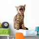 small kitten yawning Wall Decal