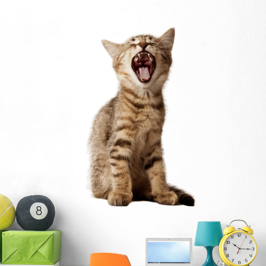 small kitten yawning Wall Decal