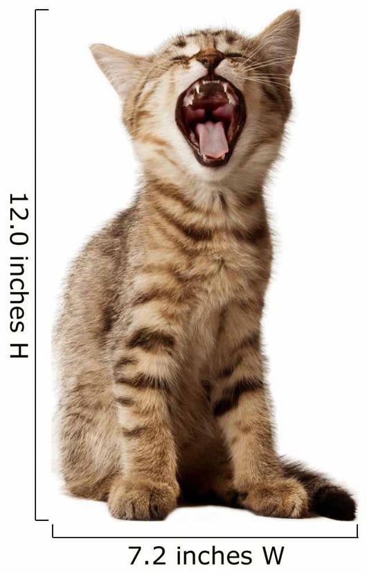small kitten yawning Wall Decal