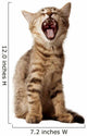 small kitten yawning Wall Decal