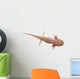 Axolotl isolated on white Wall Decal