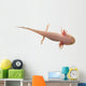 Axolotl isolated on white Wall Decal
