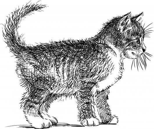 little cat Wall Decal