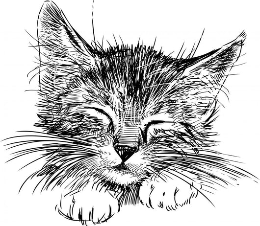 sleeping cat Wall Decal