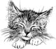 sleeping cat Wall Decal