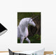 Unicorn Horse