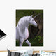 Unicorn Horse