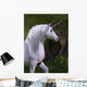 Unicorn Horse