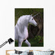 Unicorn Horse