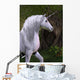 Unicorn Horse