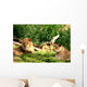 Pride of Lions Wall Mural