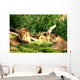 Pride of Lions Wall Mural