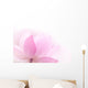 Closeup on lotus petal Wall Mural