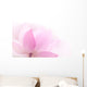 Closeup on lotus petal Wall Mural