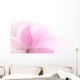 Closeup on lotus petal Wall Mural