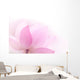 Closeup on lotus petal Wall Mural