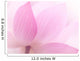Closeup on lotus petal Wall Mural